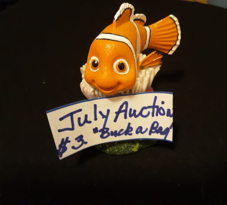 July 21st Summer Auction: "Buck A Bag"